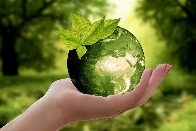 Earth and sustainability